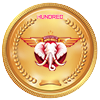 previous-mach-result.jpg